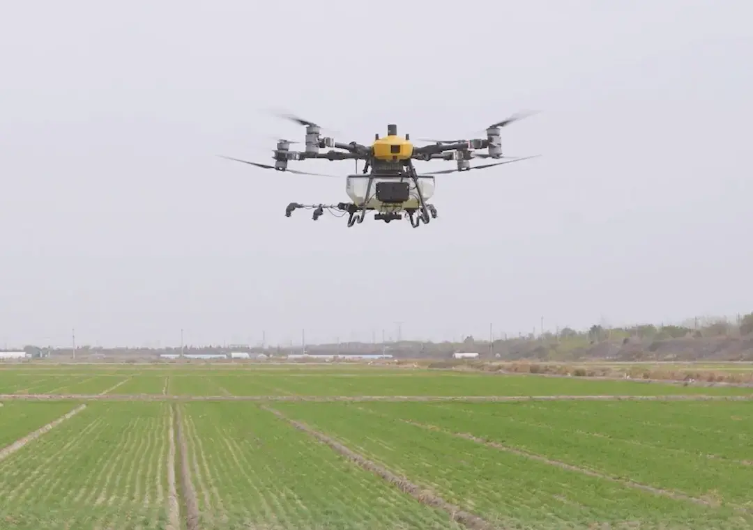 FIELD REPORT: Stress-Testing the C31 Under Maximum Payload